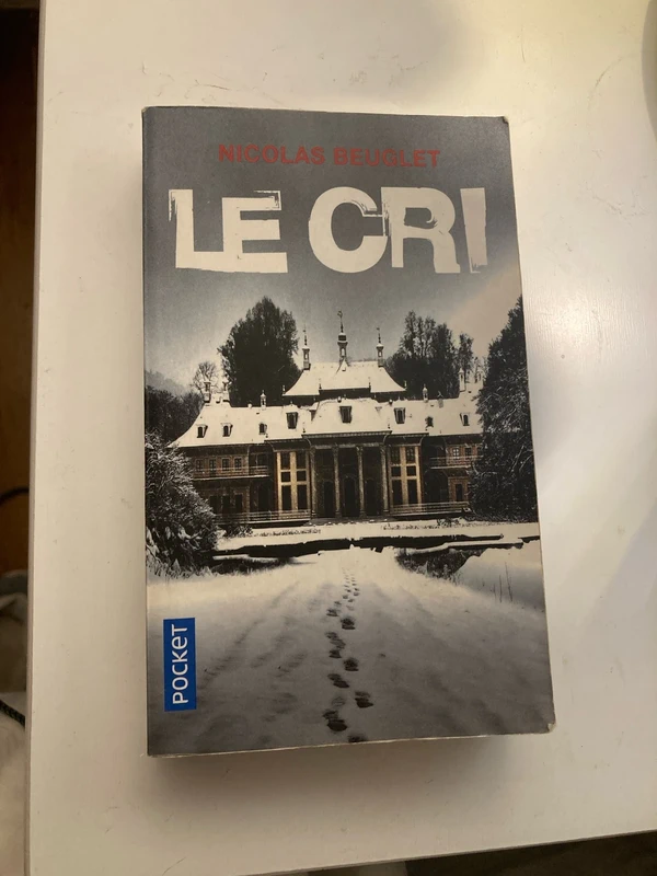 Nicolas Beuglet - le cri