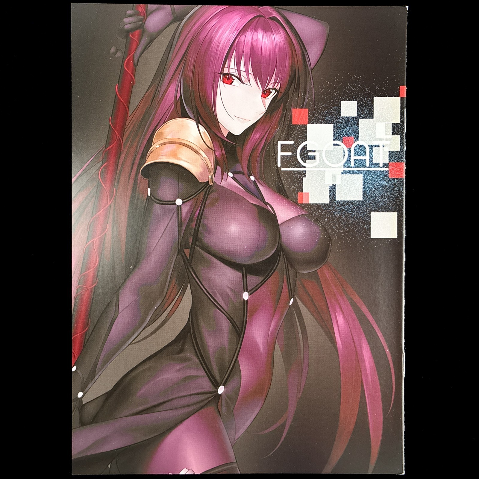 Yagitome CAPRA destino/grande ordine Doujinshi artbook libro d'arte importazione Giappone