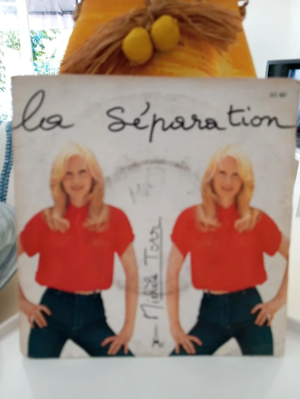 Vinyle 45 tours, Michèle TORR
