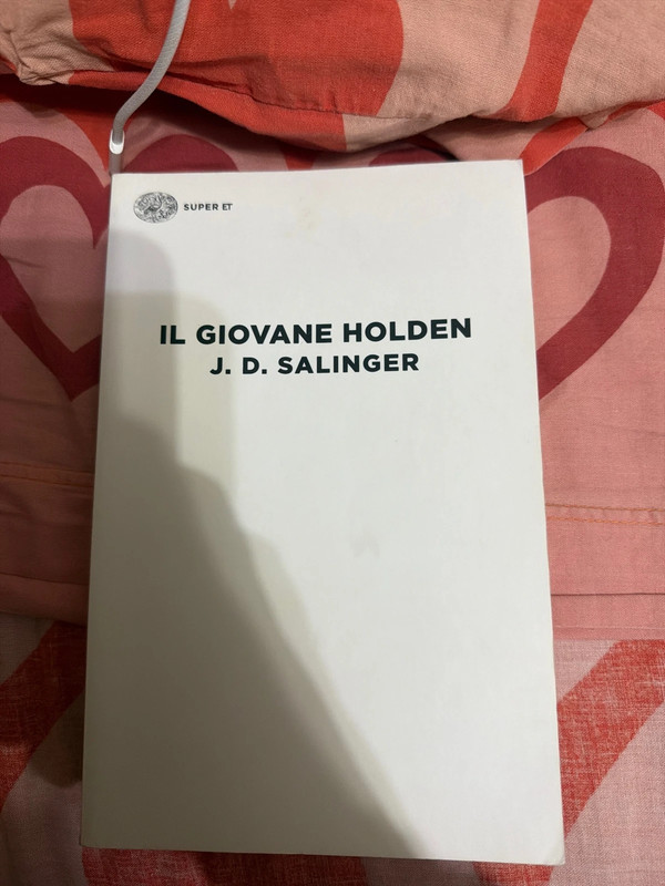 Il giovane holden