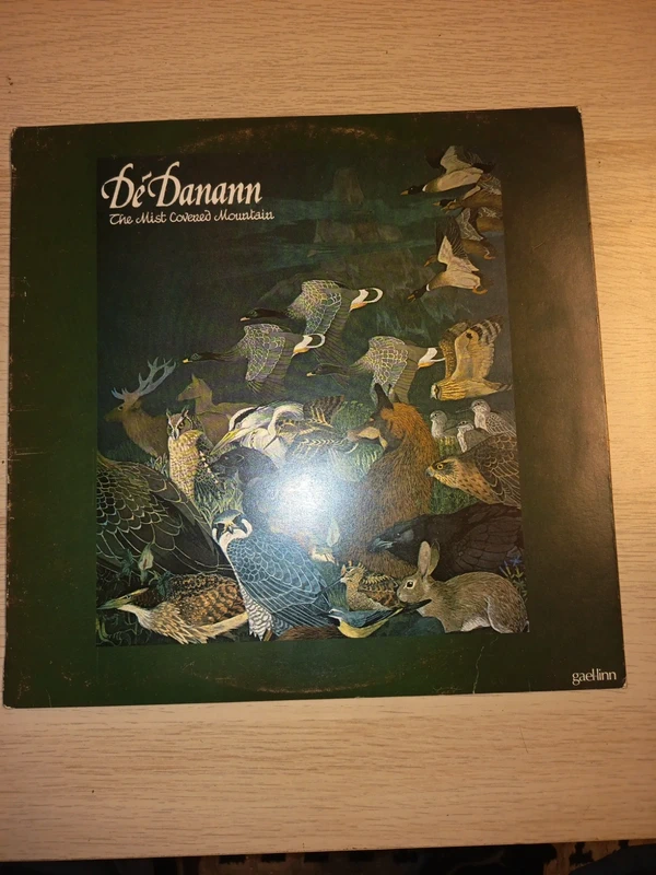Vinyle 33 t