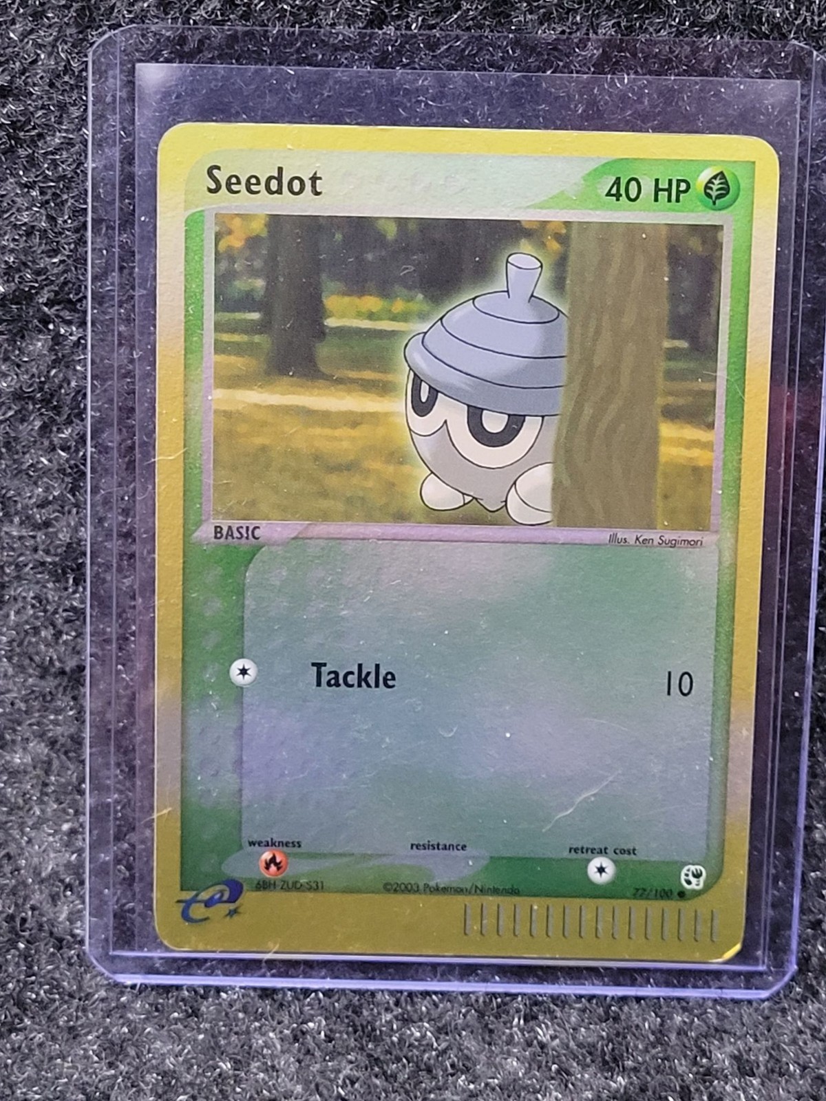 Pokemon TCG Seedot 77/100 EX Tempesta di Sabbia 2003 Carta Erba Vintage Comune Nintendo