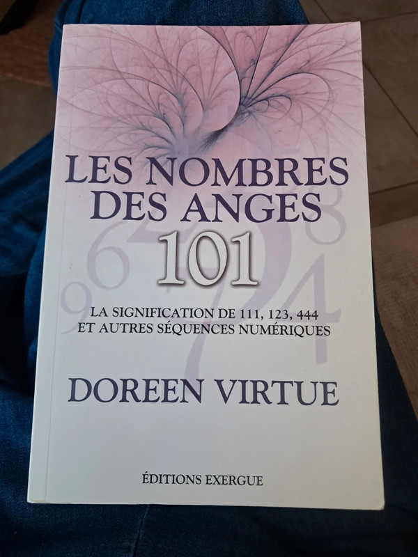 Livre les nombres des anges 101