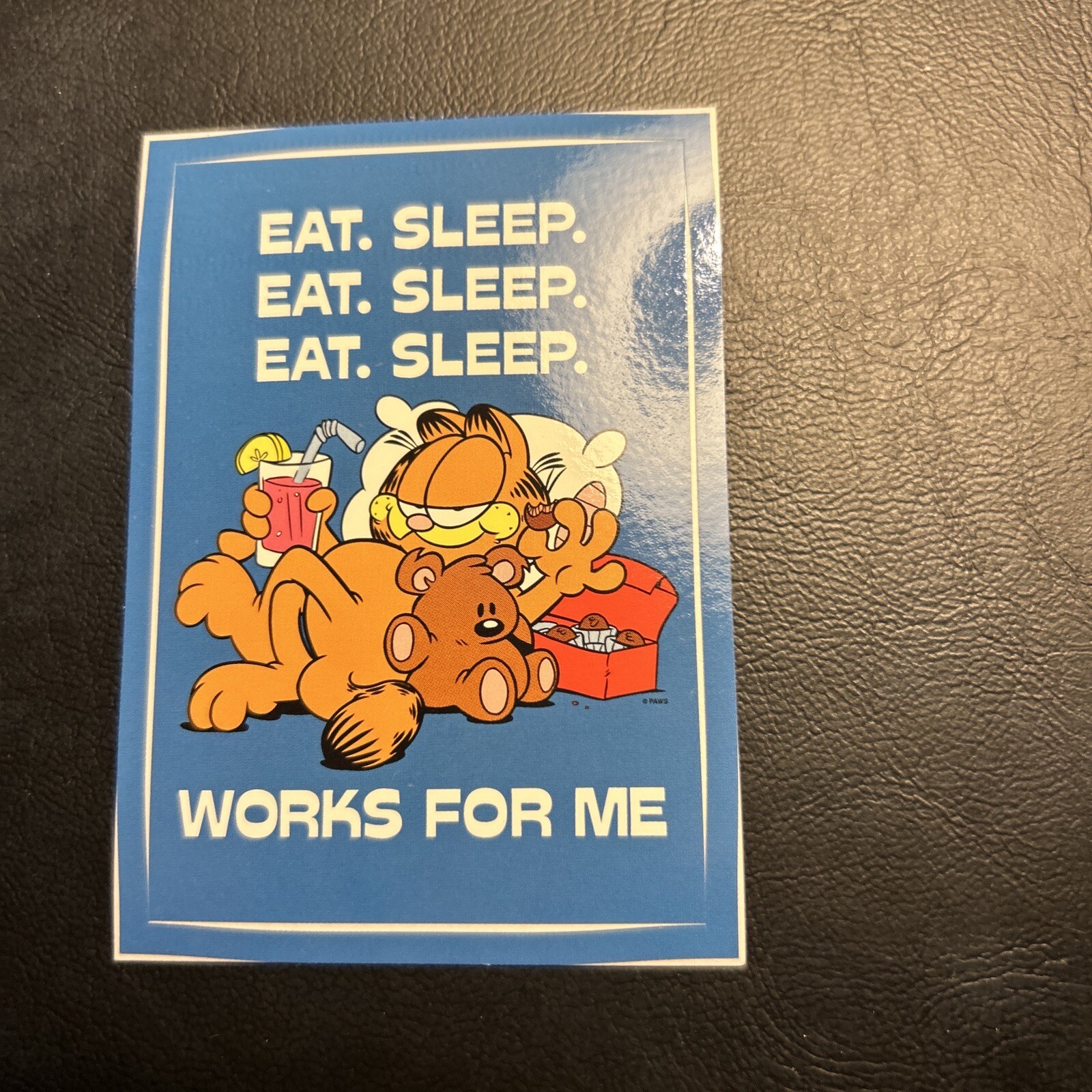Jb2c Garfield Sticker 2004 #26 Eat Sleep Works For Me Pooky