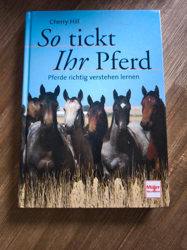 So tickt ihr Pferd
