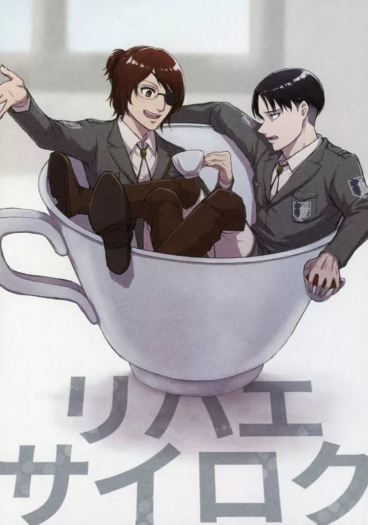 Attack on Titan BL doujinshi 38p libro d'arte a colori usato 14 anni + GIAPPONE