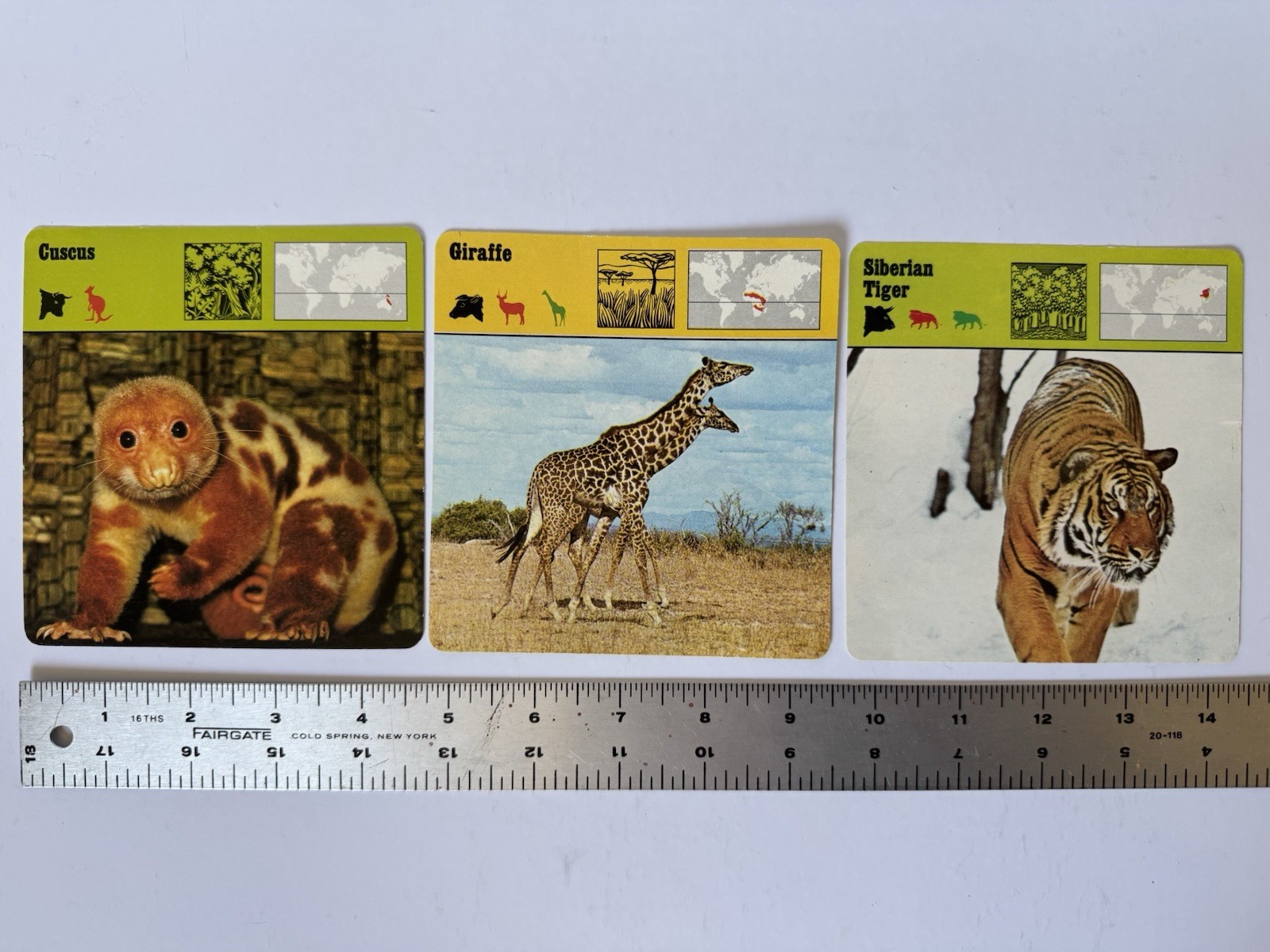 Vintage 1975 Rencontre Mammals Cuscus, Giraffe, & Tiger Safari Cards