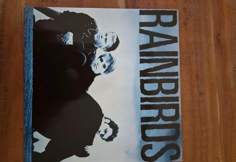 Schallplatte der Band Rainbirds