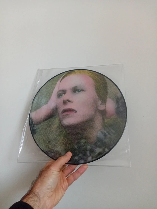 David Bowie picture disc vinyl