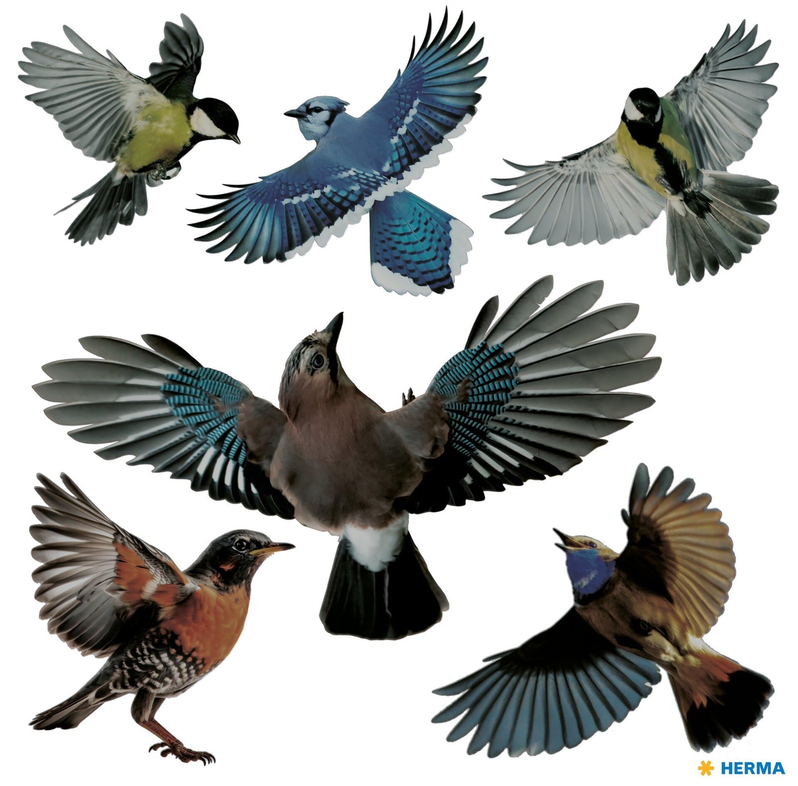 HERMA 15539 Warning Birds Bird Sticker Set for Window Panes, Large, 6 Pieces, 30