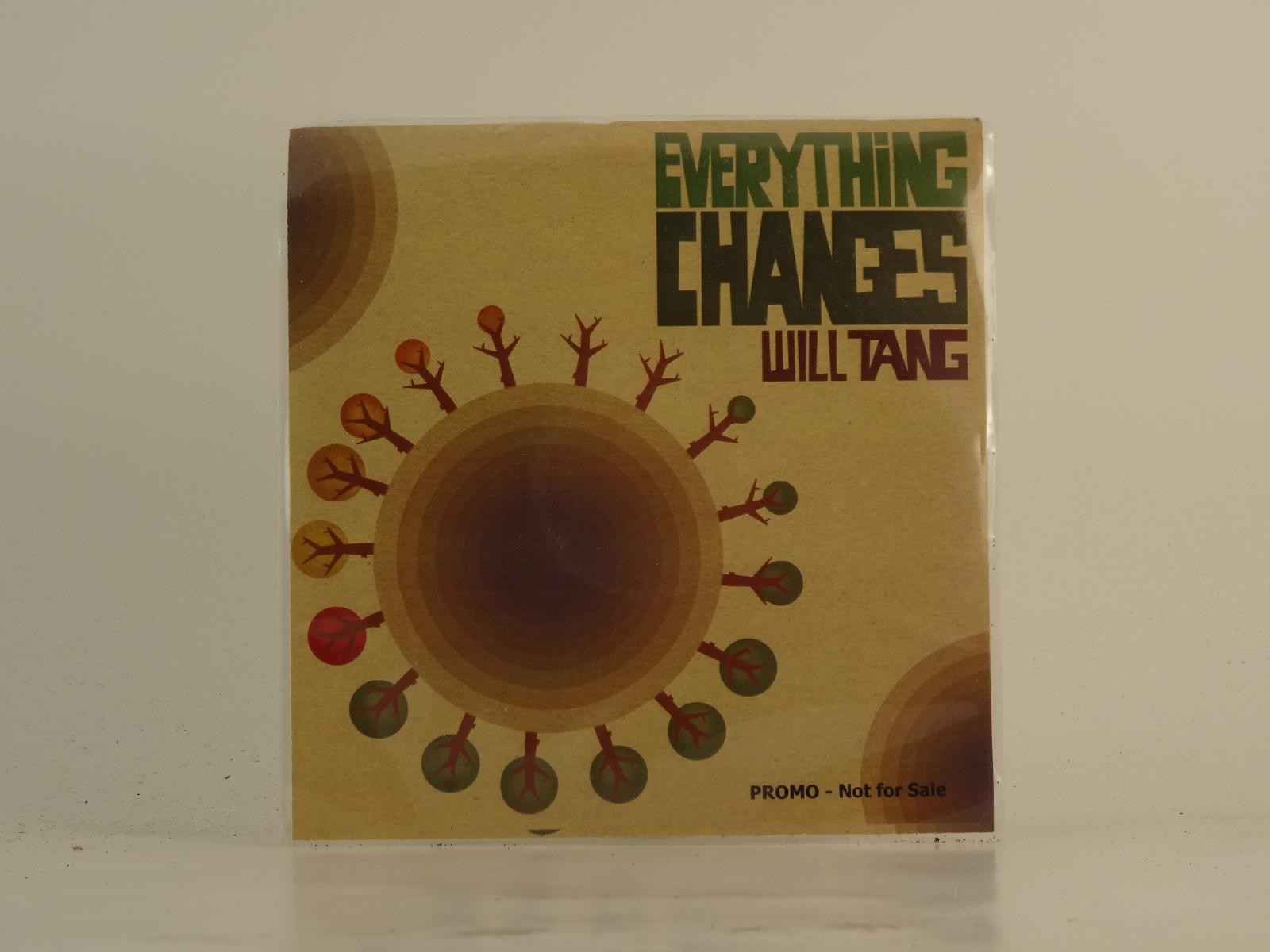 WILL TANG EVERYTHING CHANGES (D82) 2 Track Promo CD Single plus Picture Sleeve Z