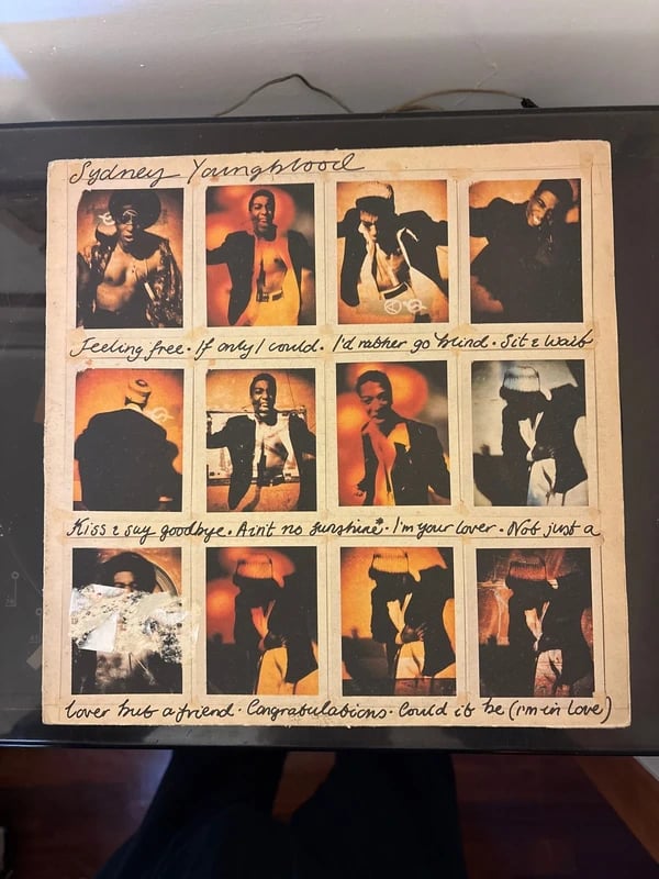 Disco vinile 12”