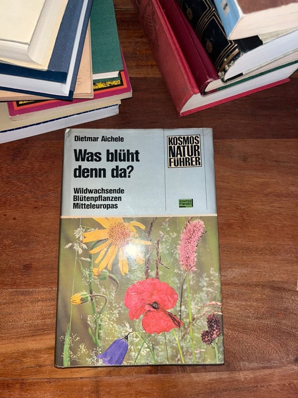 Dietmar Aichele Was blüht denn da