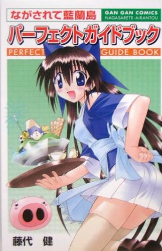 Nagasarete Airantou Guida Perfetta Giappone libro modulo JP