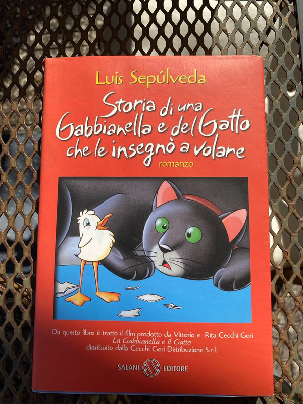 La gabbianella e il gatto