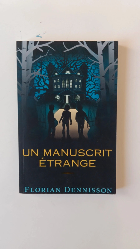Livre un manuscrit etrange