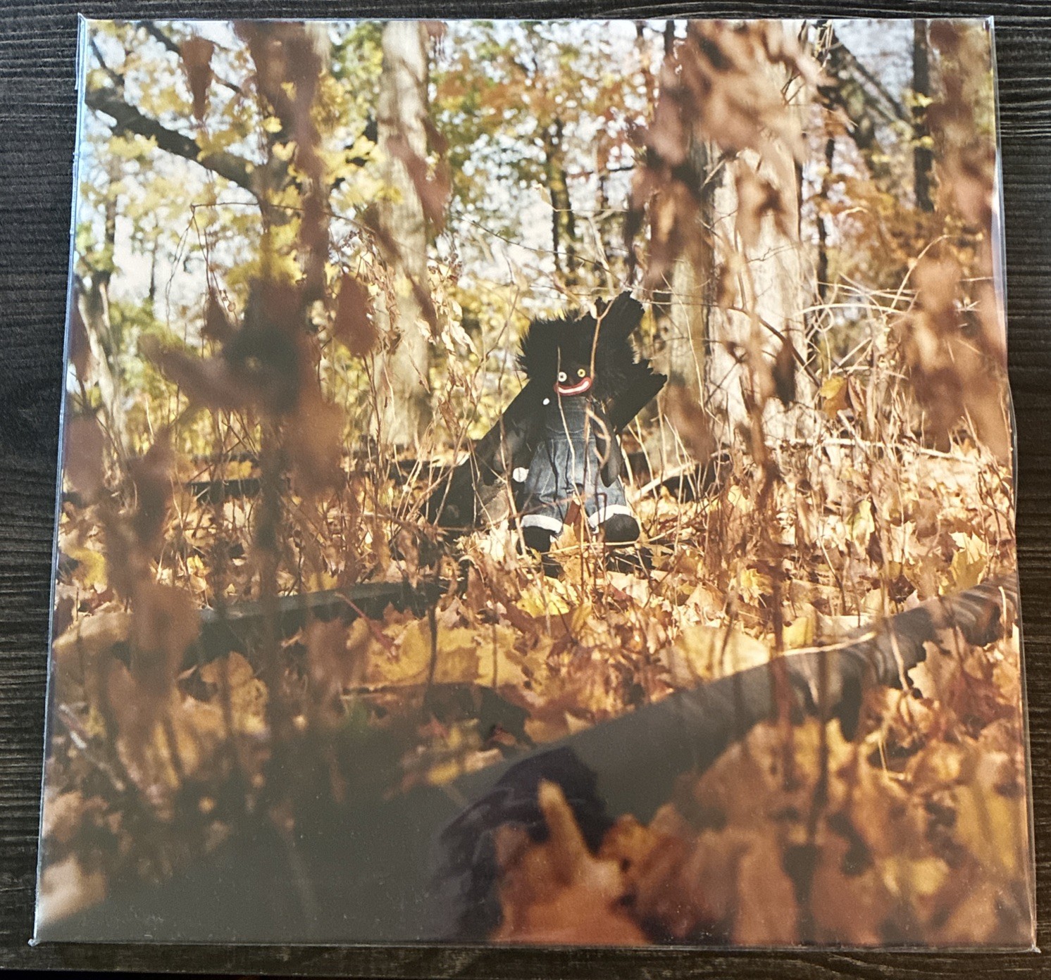 Billy Woods - Golliwog (2 LP) New Sealed Vinyl