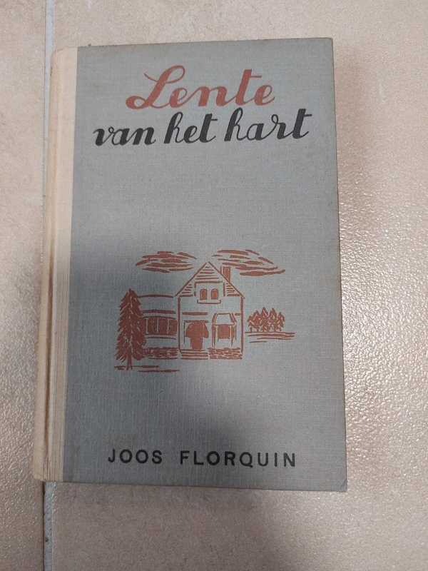 Dit is de roman Lente van het hart