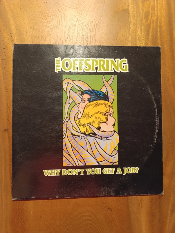 The Offspring - Why Don’t You Get A Job? 12" Vinyl Single (1999)