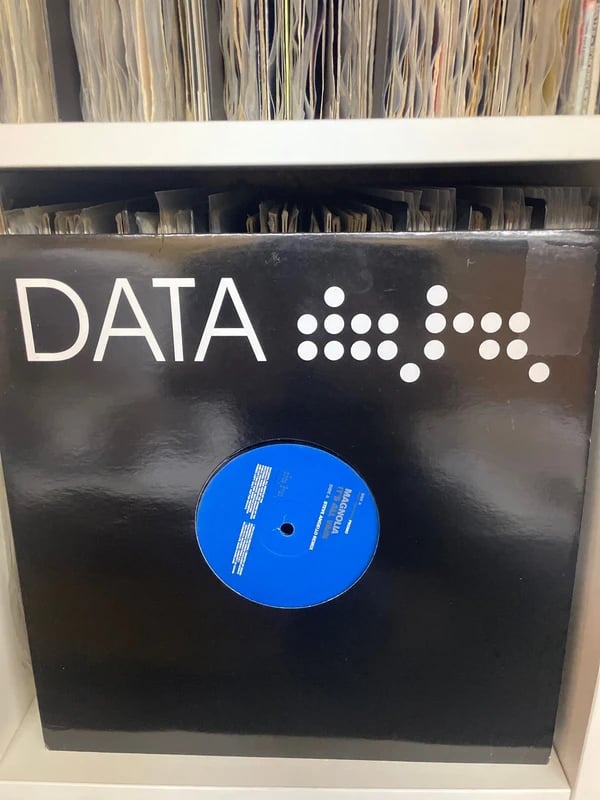 12" House - Steve Angello Remix - Magnolia – It's All Vain