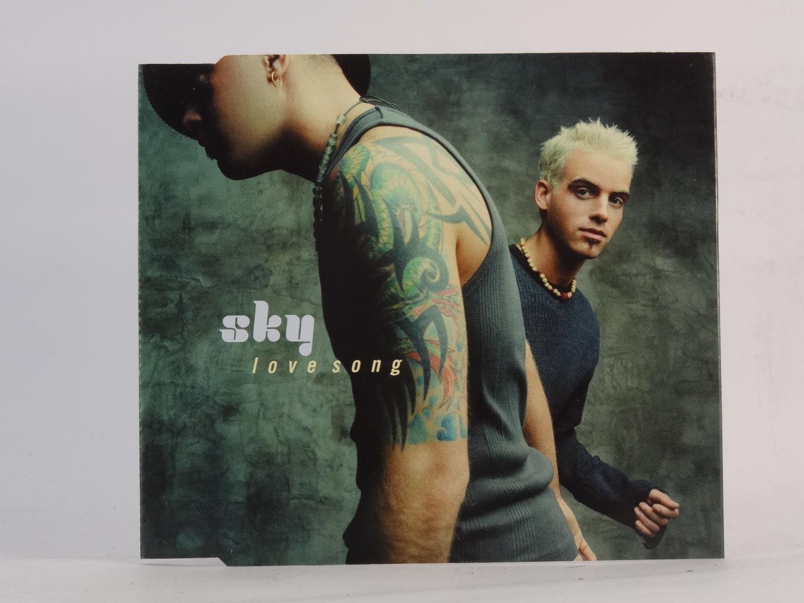 SKY LOVE SONG (G81) 3 Track CD Single including Picture Sleeve ARISTA/BMG