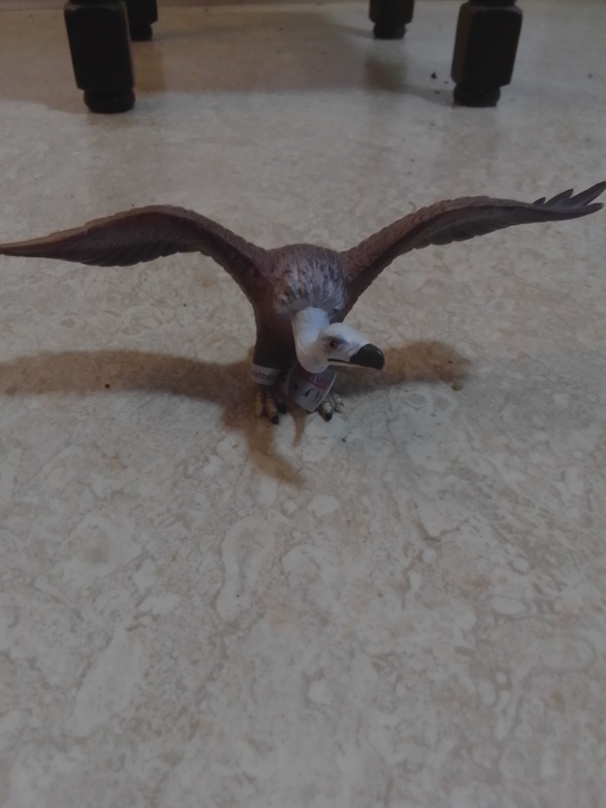 Pleitegeier von Bullyland
