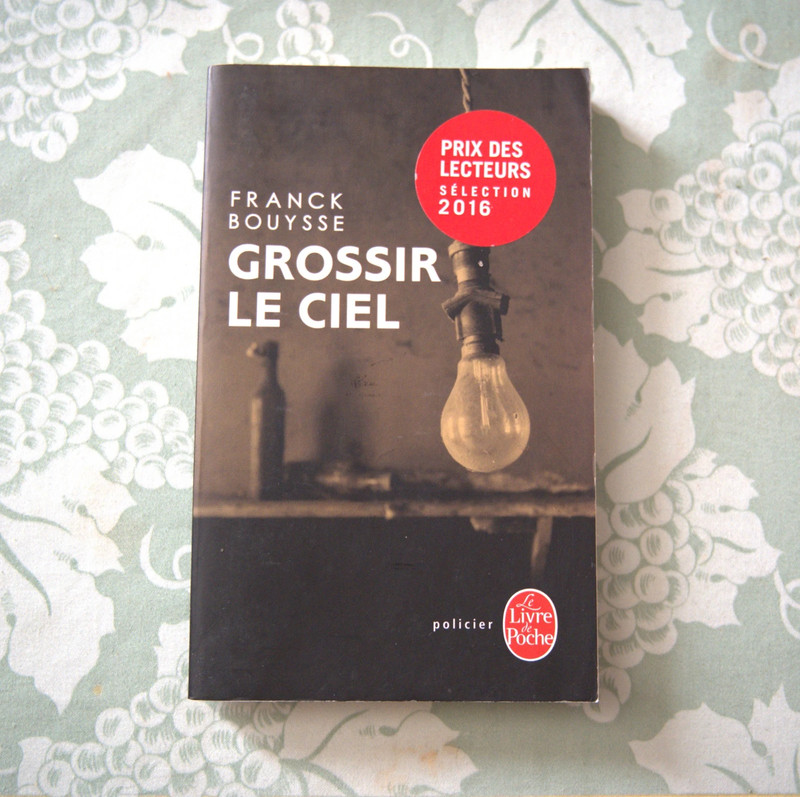 Grossir le ciel,  Franck Bouysse