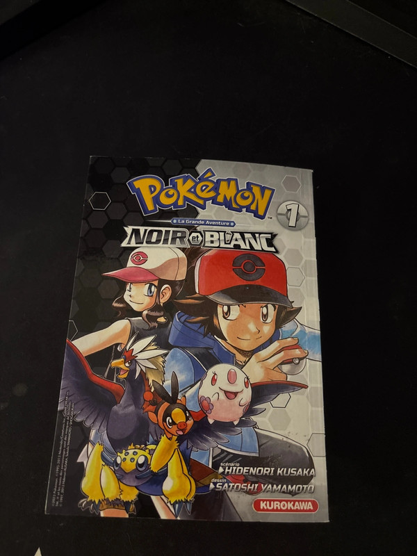 Livre Pokémon