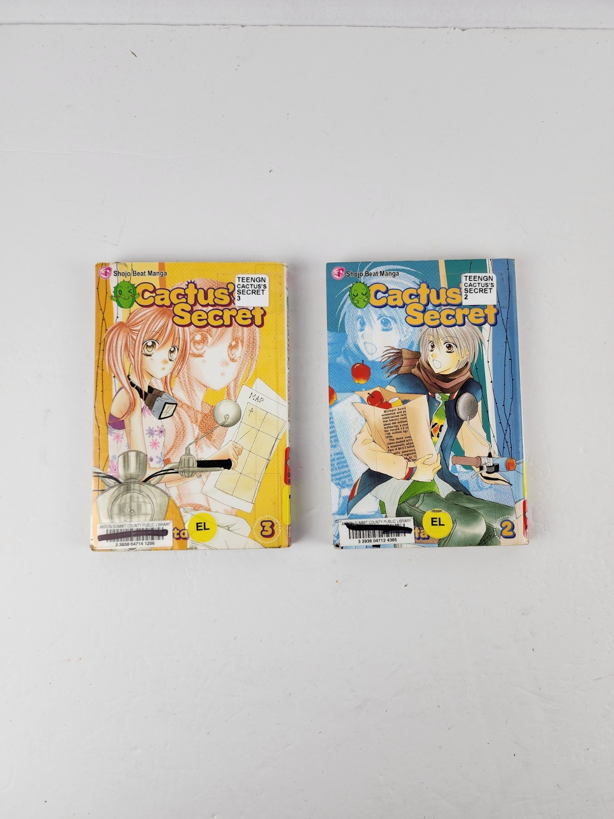 Cactus's Secret Manga Vols 2 e 3 Nana Haruta lotto inglese