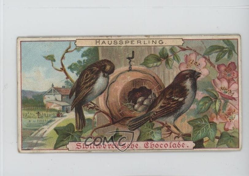 Album cioccolatini 1899 Stollwerck 3 edizione alimentare Hausssperling #91-1 15ia