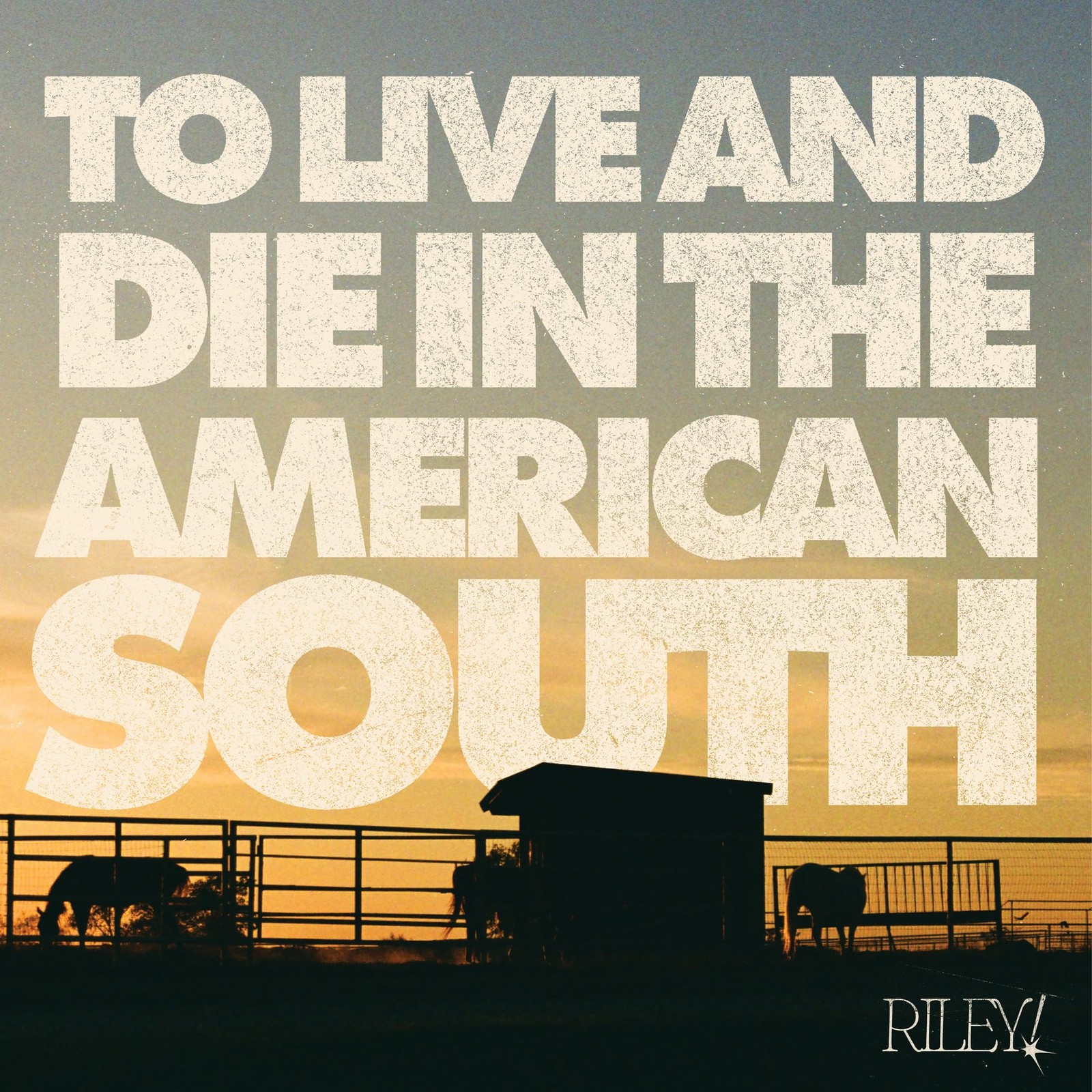 Riley! To Live And Die In The American South (CD)