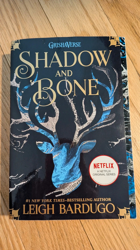 Shadow and Bone, by Leigh Bardugo