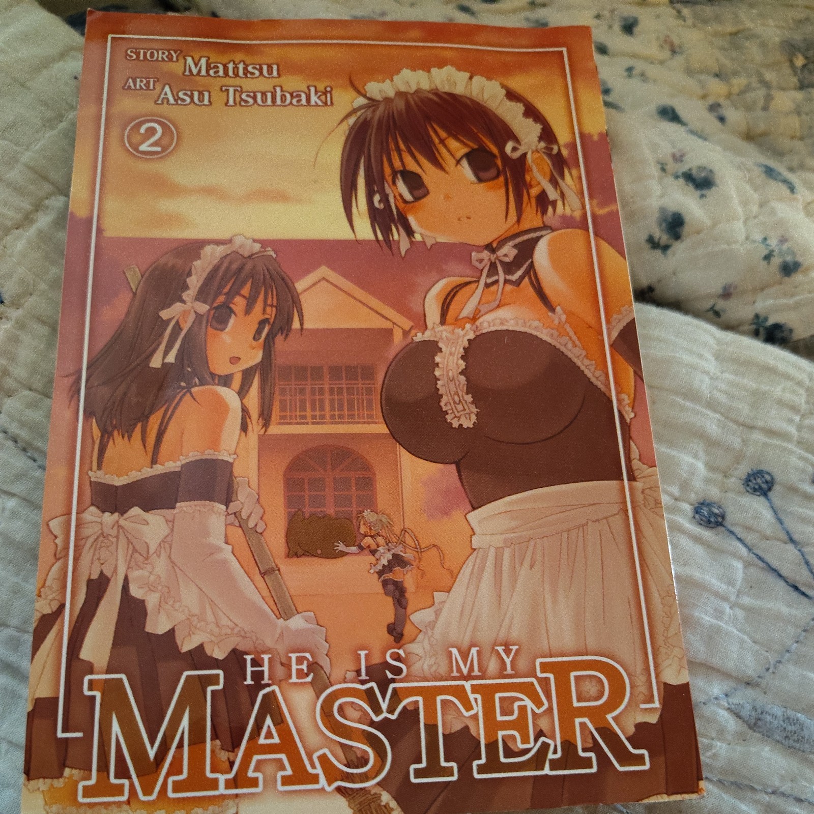Lui è il mio maestro vol. 2 Seven Seas Manga Anime Libro tascabile