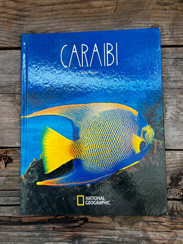 Caraibi