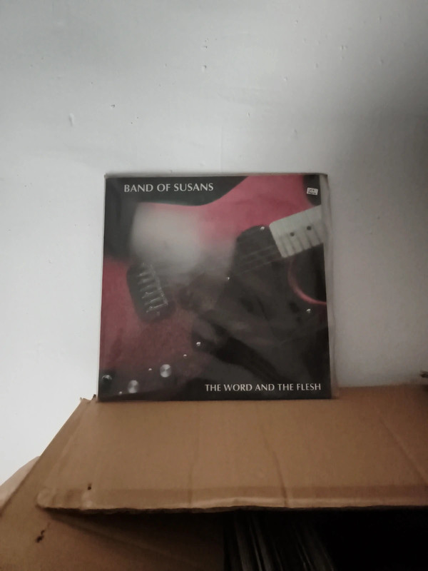 Vinilo banda of susans