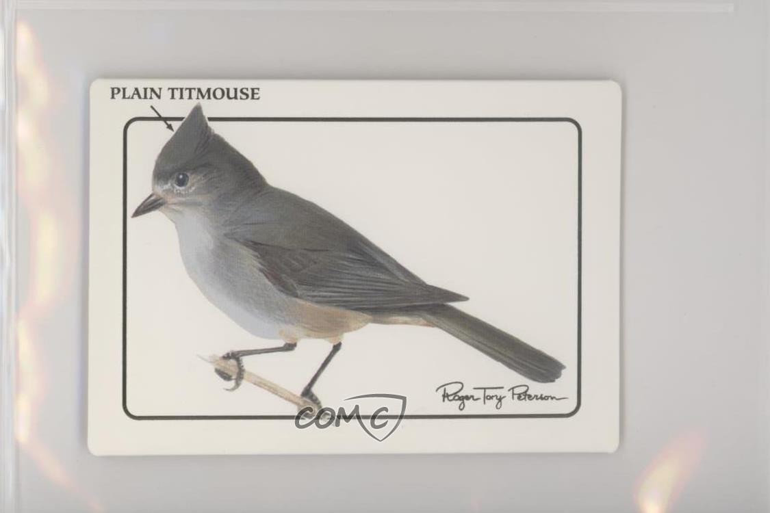 Alimentatore per uccelli World Life Roger Tory Peterson 1992 serie 2 semplice Titmouse 1hs9