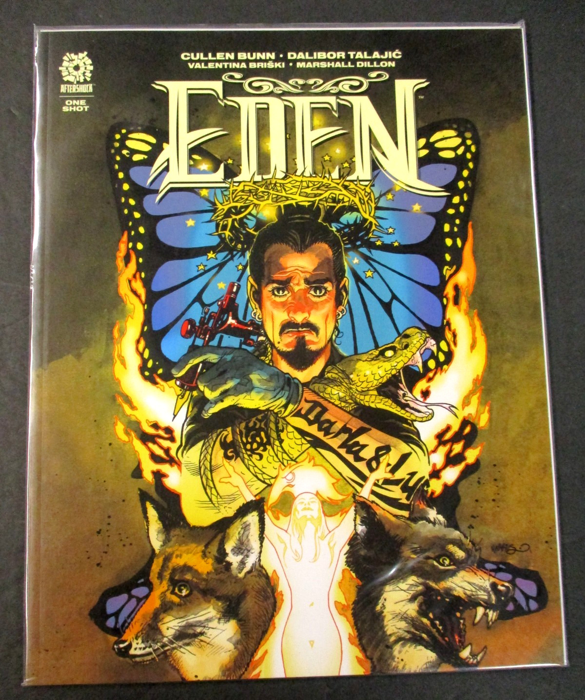 RIVISTA AFTERSHOCK COMICS EDITORIA EDEN ONE SHOT SPECIAL ALTA QUALITÀ BX154