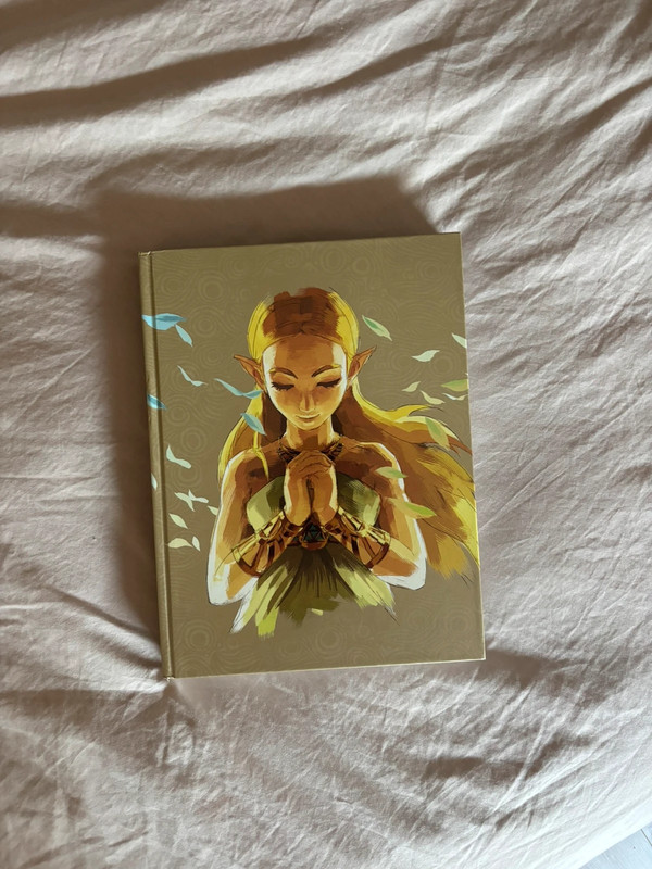 Guide Complet | The Legend of Zelda Breath of The Wild