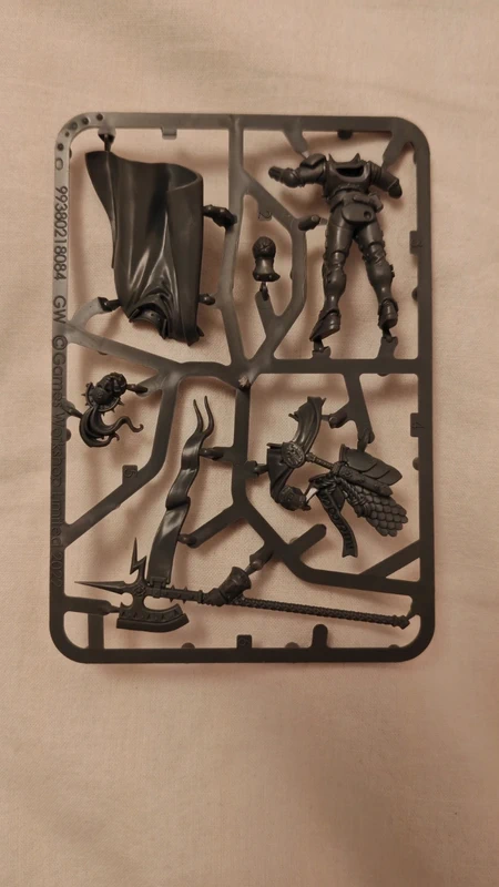 Praetor-Prime Exclusif Stormbringer N°5 - Stormcast Age of Sigmar