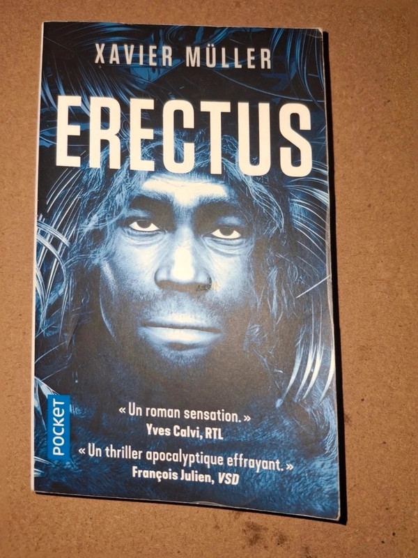 solde/promo Erectus , a saisir