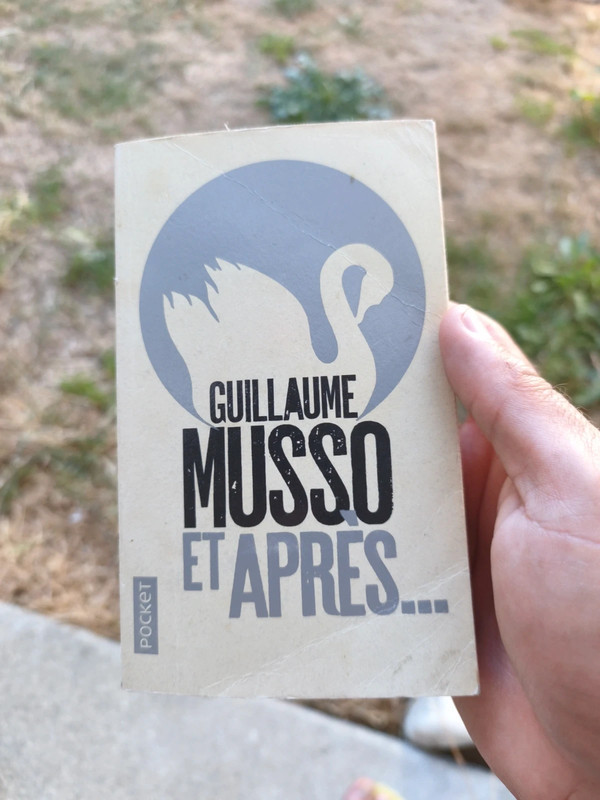 Guillaume Musso , et après..
