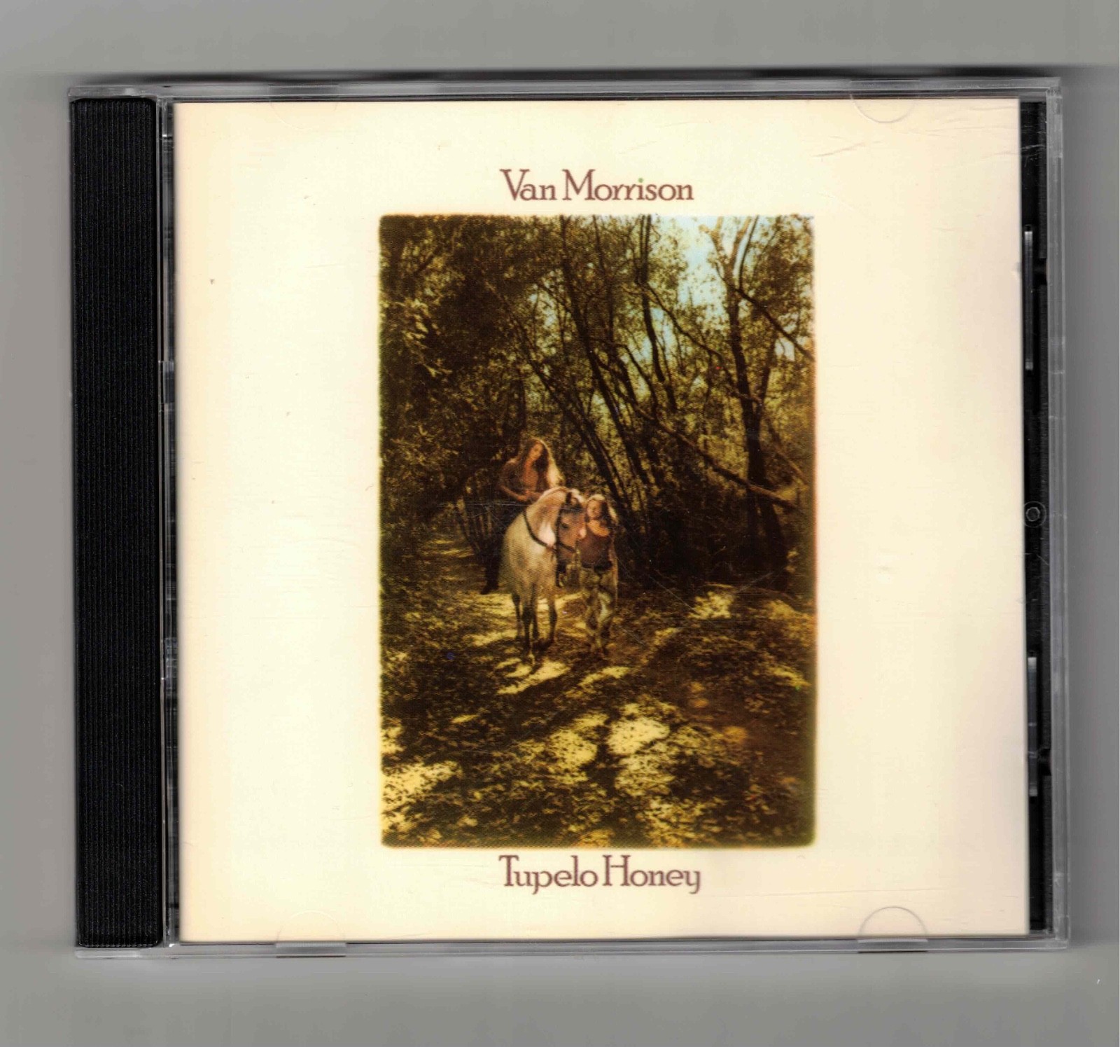 VAN MORRISON    'TUPELO HONEY'   CD    SHIPS FREE TO CANADA