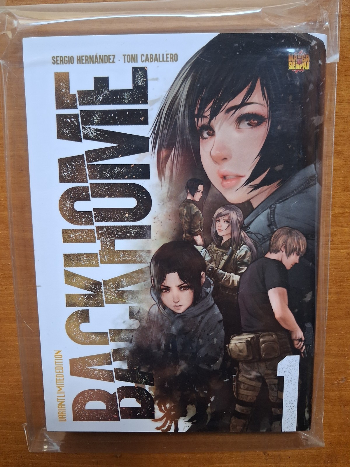 Back home 1 variant - Backhome esclusiva games academy funside limited 500 copie