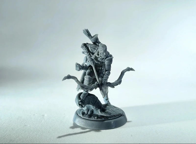 Pedina giocatore: umano (ranger)