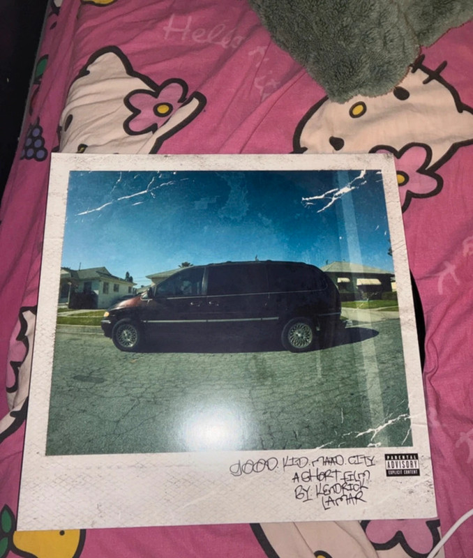 Doppio vinile di Kendrick Lamar in ottime condizioni