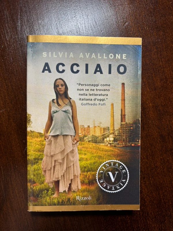 Acciaio (Italian Edition) - Silvia Avallone