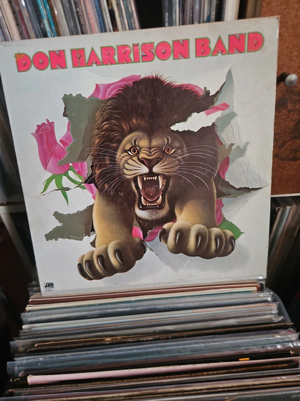 Don Harrison band