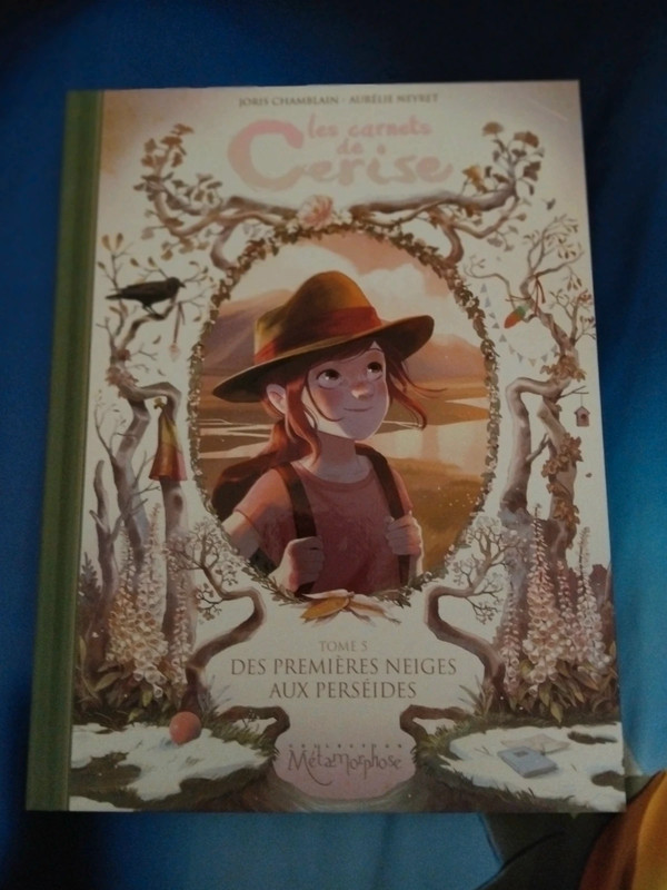 Livre ( les carnets de cerise tome 5)
