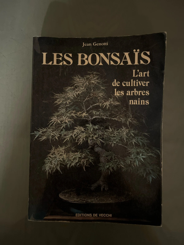 Les bonsaïs