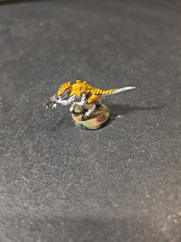 Tirannidi termagaunt